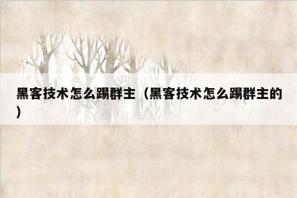 黑客技术怎么踢群主（黑客技术怎么踢群主的）