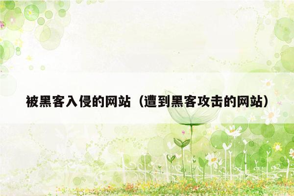 被黑客入侵的网站（遭到黑客攻击的网站）