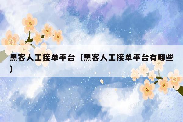 黑客人工接单平台（黑客人工接单平台有哪些）