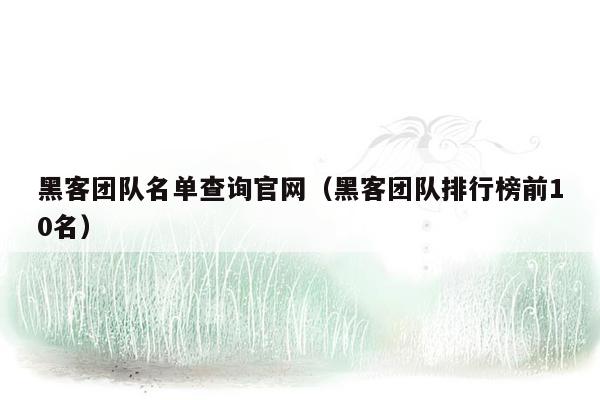 黑客团队名单查询官网（黑客团队排行榜前10名）