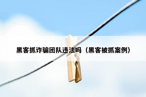 黑客抓诈骗团队违法吗（黑客被抓案例）
