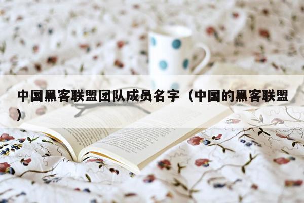 中国黑客联盟团队成员名字（中国的黑客联盟）