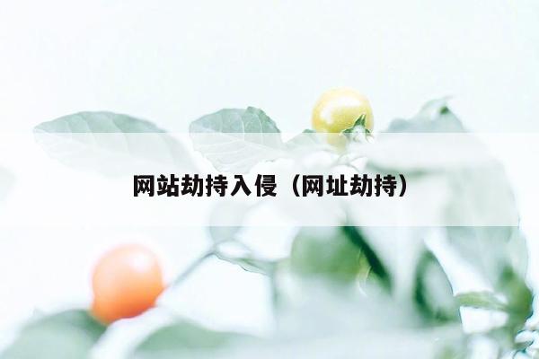 网站劫持入侵（网址劫持）