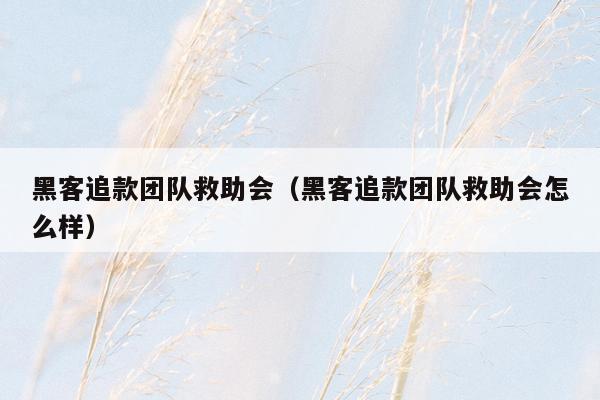 黑客追款团队救助会（黑客追款团队救助会怎么样）