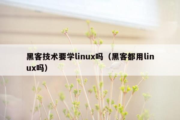 黑客技术要学linux吗（黑客都用linux吗）