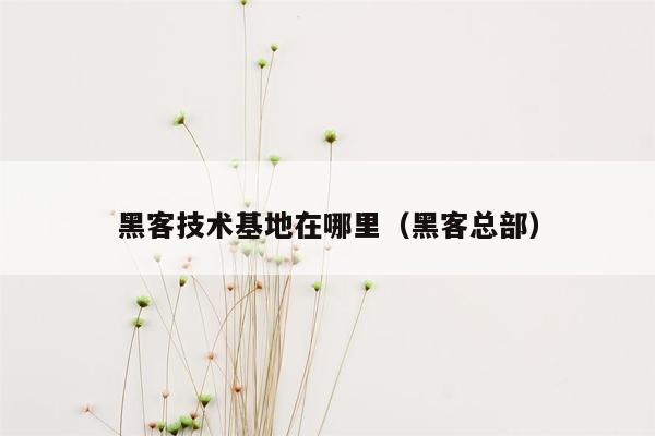 黑客技术基地在哪里（黑客总部）