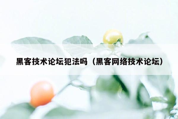 黑客技术论坛犯法吗（黑客网络技术论坛）