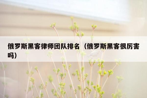 俄罗斯黑客律师团队排名（俄罗斯黑客很厉害吗）