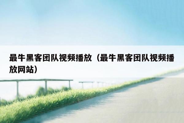 最牛黑客团队视频播放（最牛黑客团队视频播放网站）