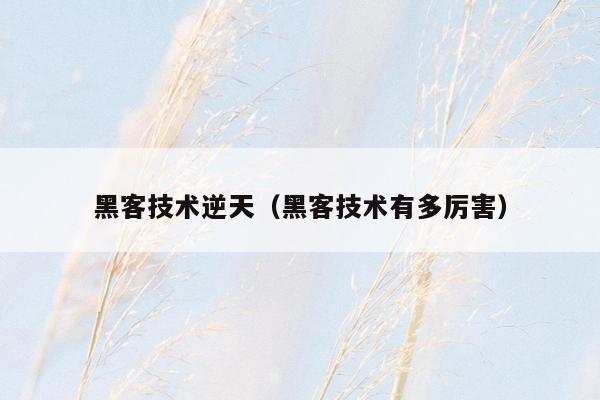 黑客技术逆天（黑客技术有多厉害）