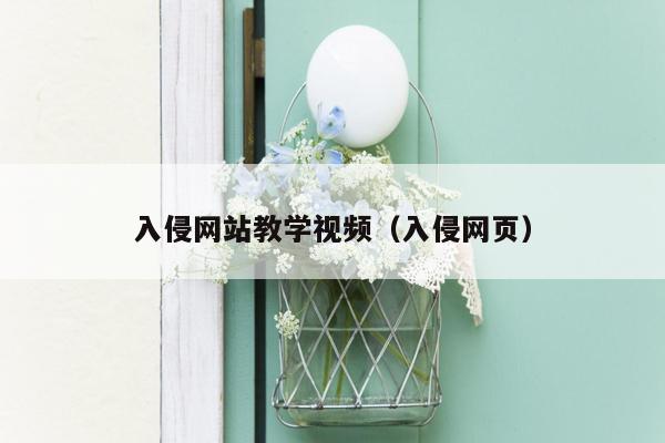 入侵网站教学视频（入侵网页）