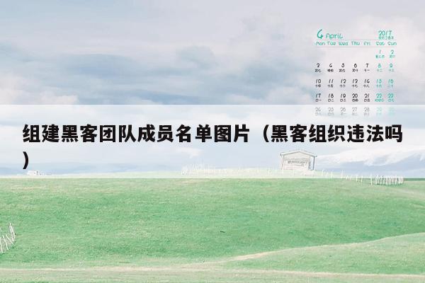 组建黑客团队成员名单图片（黑客组织违法吗）