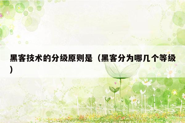 黑客技术的分级原则是（黑客分为哪几个等级）