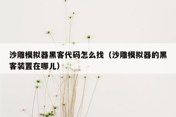 沙雕模拟器黑客代码怎么找（沙雕模拟器的黑客装置在哪儿）