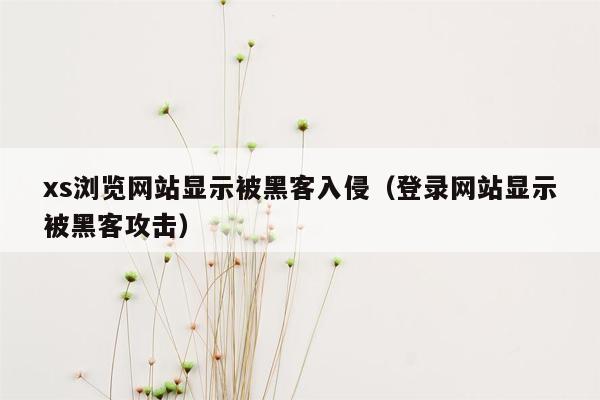 xs浏览网站显示被黑客入侵（登录网站显示被黑客攻击）