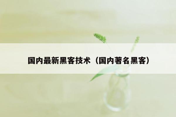 国内最新黑客技术（国内著名黑客）