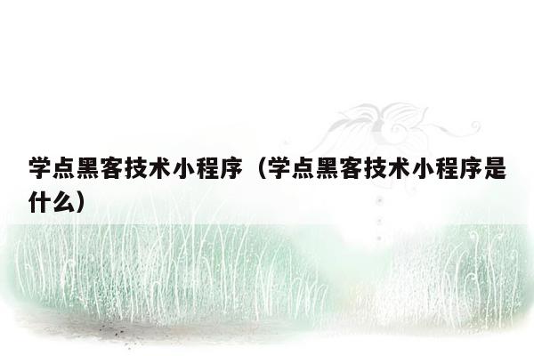 学点黑客技术小程序（学点黑客技术小程序是什么）