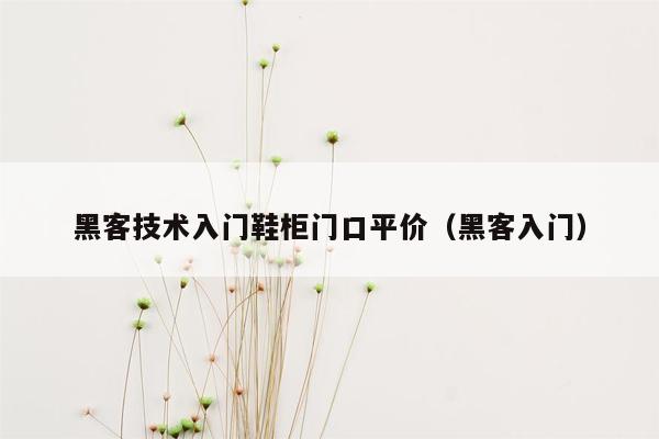 黑客技术入门鞋柜门口平价（黑客入门）