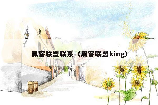 黑客联盟联系（黑客联盟king）