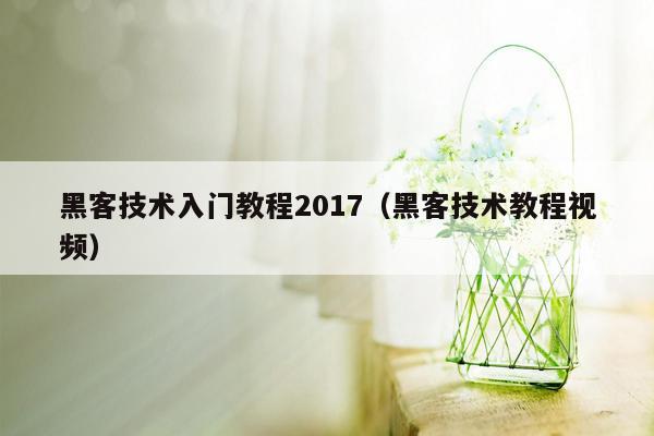 黑客技术入门教程2017（黑客技术教程视频）