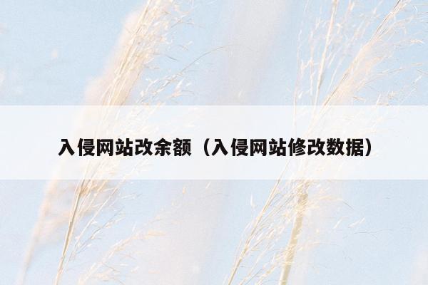 入侵网站改余额（入侵网站修改数据）