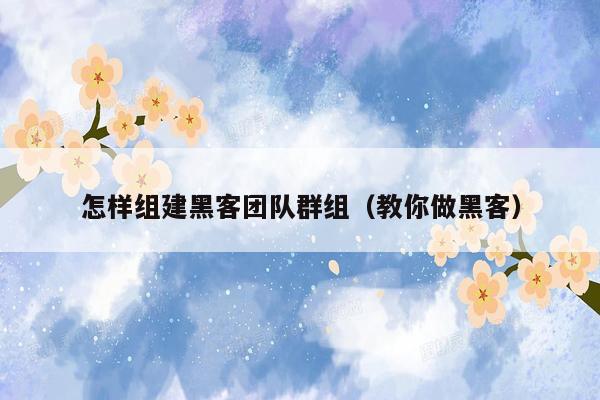 怎样组建黑客团队群组（教你做黑客）
