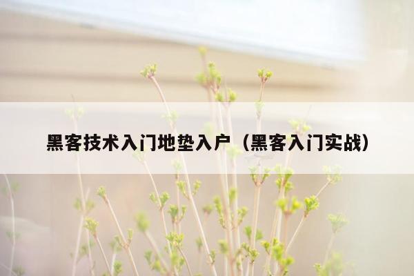 黑客技术入门地垫入户（黑客入门实战）