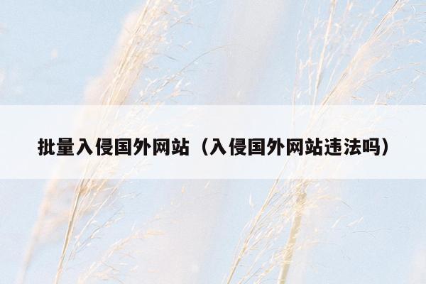 批量入侵国外网站（入侵国外网站违法吗）