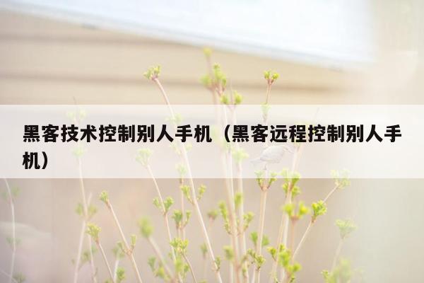 黑客技术控制别人手机（黑客远程控制别人手机）