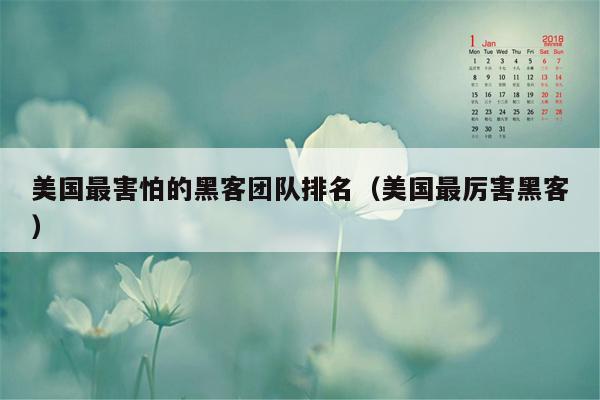 美国最害怕的黑客团队排名（美国最厉害黑客）