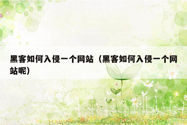 黑客如何入侵一个网站（黑客如何入侵一个网站呢）