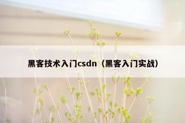 黑客技术入门csdn（黑客入门实战）