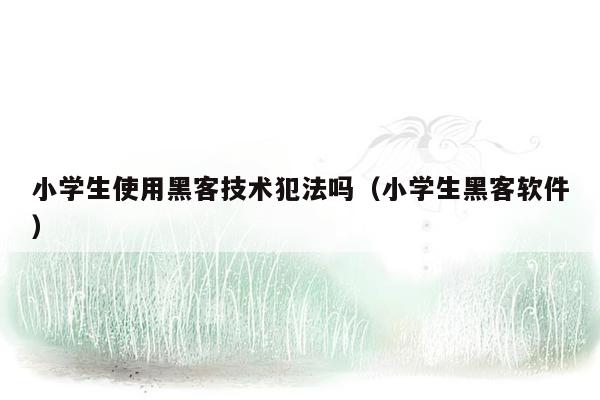 小学生使用黑客技术犯法吗（小学生黑客软件）