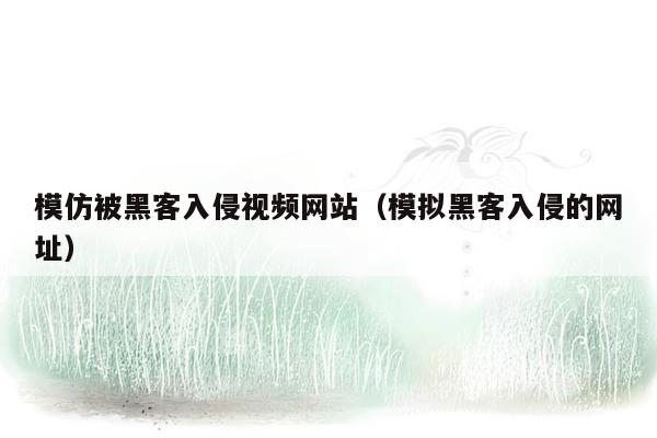 模仿被黑客入侵视频网站（模拟黑客入侵的网址）