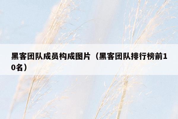 黑客团队成员构成图片（黑客团队排行榜前10名）