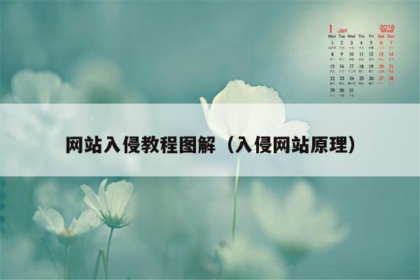 网站入侵教程图解（入侵网站原理）