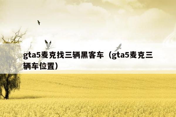 gta5麦克找三辆黑客车（gta5麦克三辆车位置）
