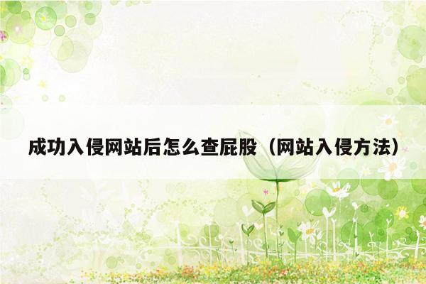 成功入侵网站后怎么查屁股（网站入侵方法）