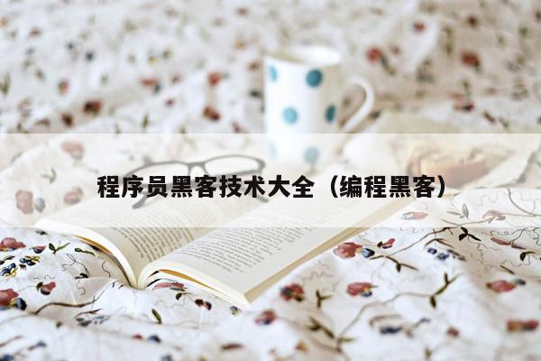 程序员黑客技术大全（编程黑客）