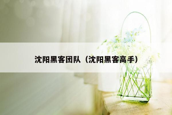 沈阳黑客团队（沈阳黑客高手）