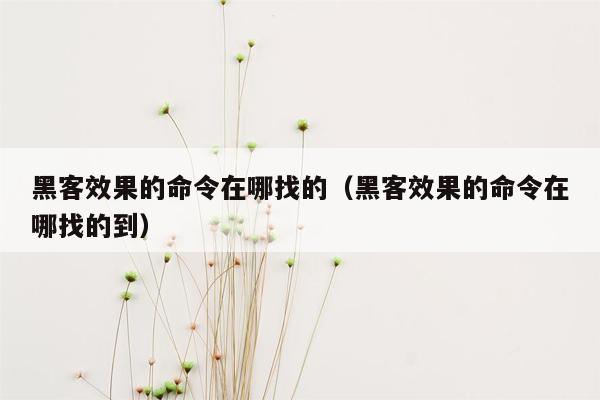 黑客效果的命令在哪找的（黑客效果的命令在哪找的到）