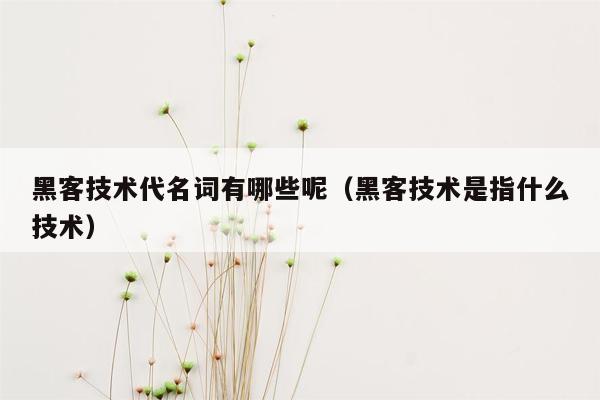 黑客技术代名词有哪些呢（黑客技术是指什么技术）