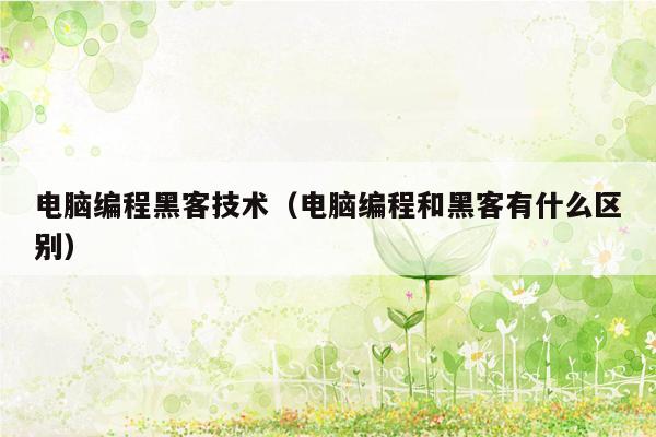 电脑编程黑客技术（电脑编程和黑客有什么区别）