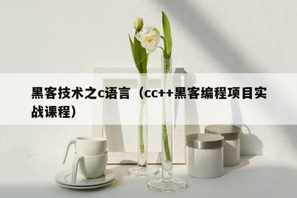 黑客技术之c语言（cc++黑客编程项目实战课程）