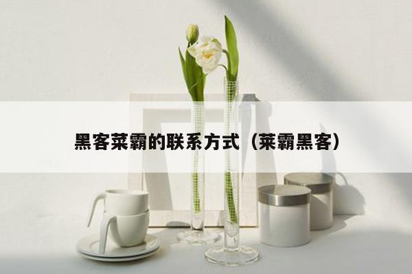 黑客菜霸的联系方式（莱霸黑客）