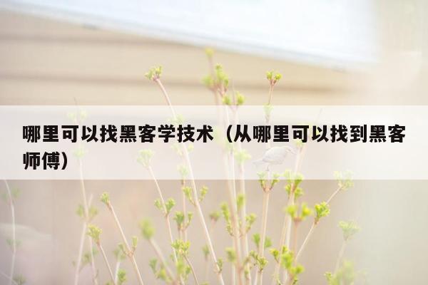 哪里可以找黑客学技术（从哪里可以找到黑客师傅）