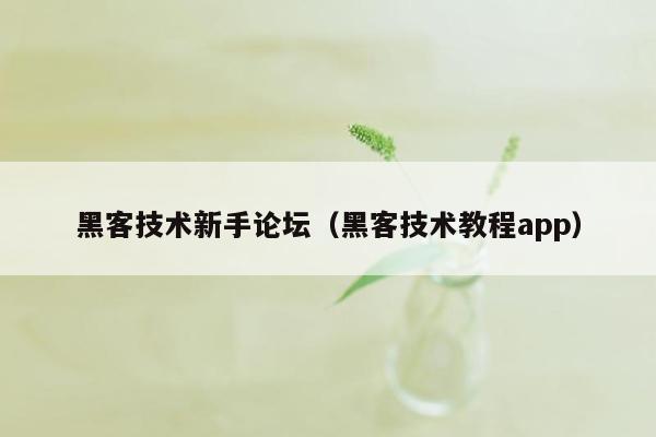 黑客技术新手论坛（黑客技术教程app）