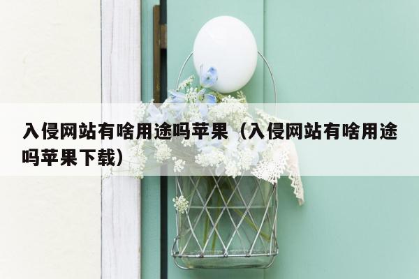 入侵网站有啥用途吗苹果（入侵网站有啥用途吗苹果下载）