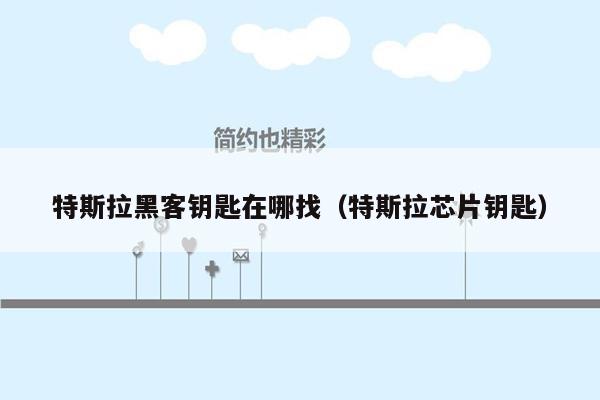 特斯拉黑客钥匙在哪找（特斯拉芯片钥匙）