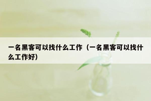一名黑客可以找什么工作（一名黑客可以找什么工作好）
